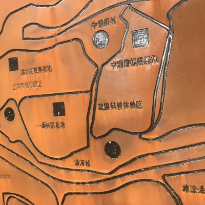 锈钢板 锈蚀耐候钢板 红锈耐候钢板  可定制 厂家直销