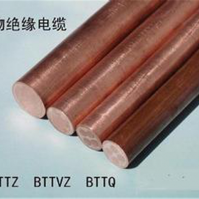 天津华夏电缆厂 BTTZ重型铜护套矿物绝缘电缆