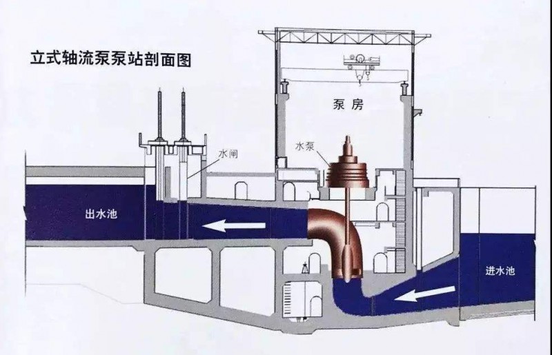 轴流泵1