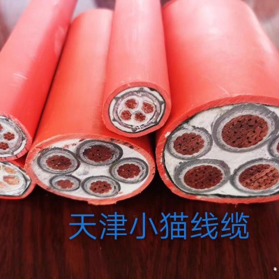 天津津貓電線電纜國(guó)標(biāo) NG-A柔性防火電纜
