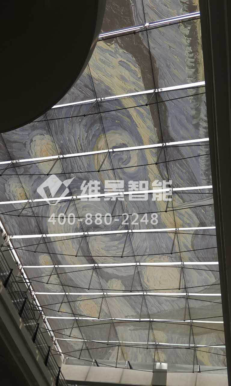 电动遮阳棚 电动天棚帘 维景智能